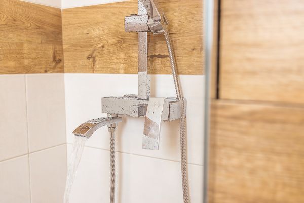Cost of Shower Plumbing Installation in Delaware